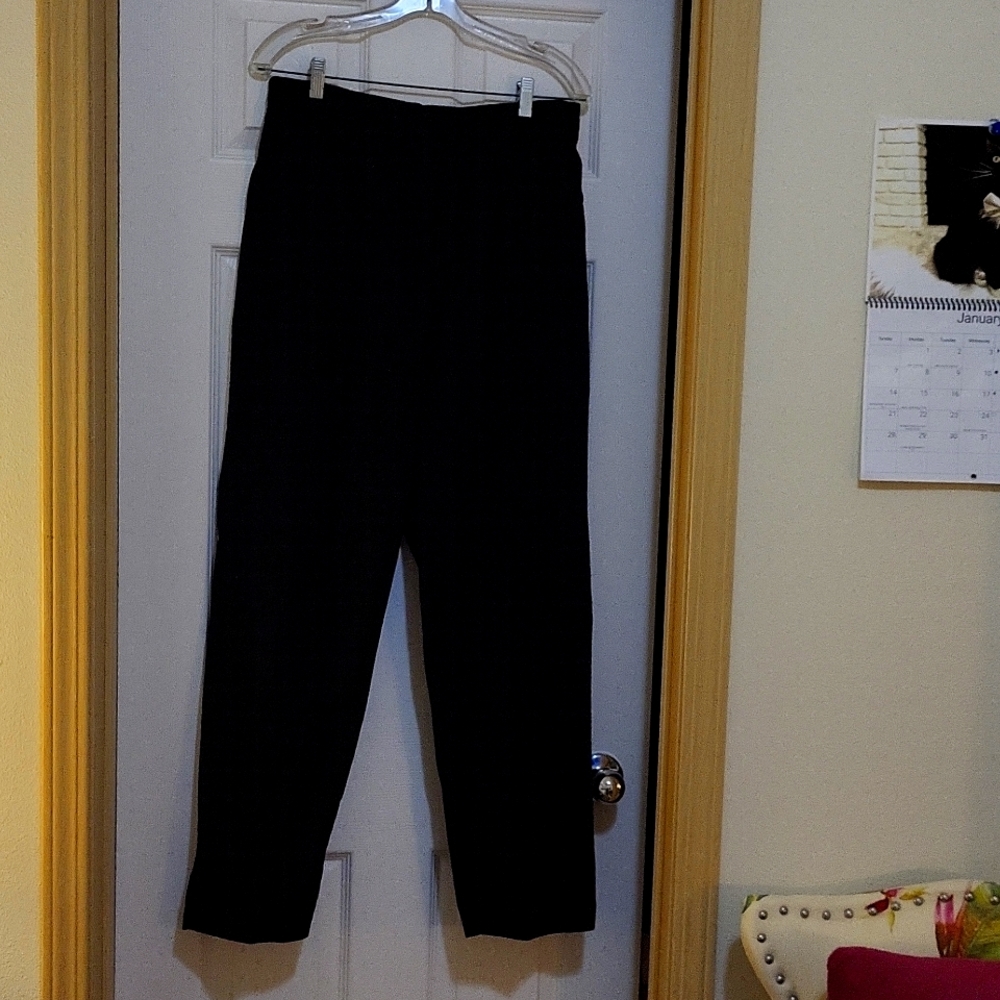Black Pants,  Size Large, stretch waistband,  front zip